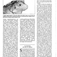 courrier cnrs 55-56_Page_44.jpg