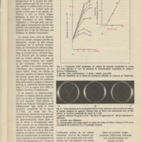 Le courrier du CNRS 32