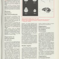 Rapport CNRS 1983