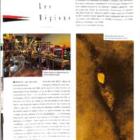 rapport 1988_029.jpg