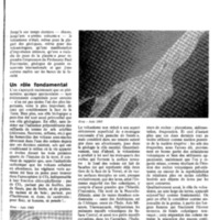 Le courrier du CNRS 1