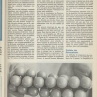 Le courrier du CNRS 18