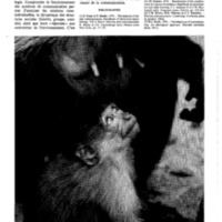 courrier cnrs 43_Page_34.jpg