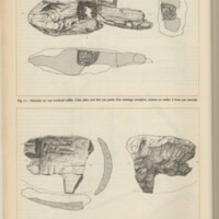Le courrier du CNRS 33