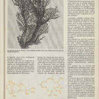 Le courrier du CNRS 29