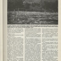 Le courrier du CNRS 31