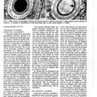 courrier cnrs 54_Page_30.jpg