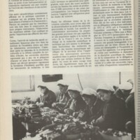 Le courrier du CNRS 18