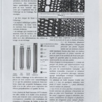 Bulletin de l'Association des anciens et des amis du CNRS n°25