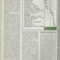 Le courrier du CNRS 28