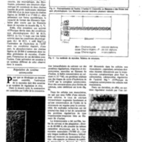 courrier cnrs 50_Page_22.jpg