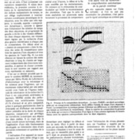 courrier cnrs 45_Page_08.jpg