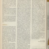 Le courrier du CNRS 16