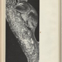 Le courrier du CNRS 9