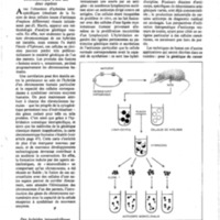 courrier cnrs 41_Page_30.jpg