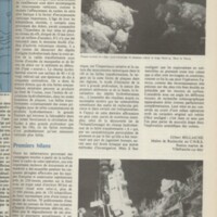 Le courrier du CNRS 18