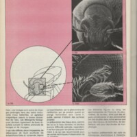 Le courrier du CNRS 24