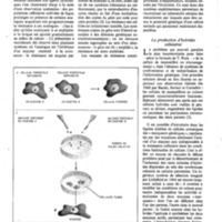 courrier cnrs 41_Page_29.jpg