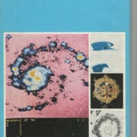 Le courrier du CNRS 31