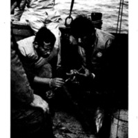 courrier cnrs 46_Page_06.jpg