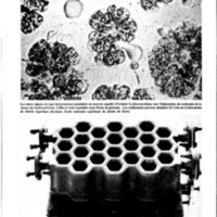 courrier cnrs 44_Page_40.jpg