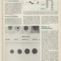 Le courrier du CNRS 19
