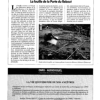 courrier cnrs 73_Page_31.jpg