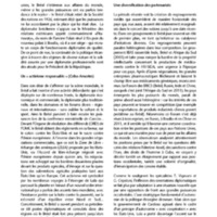 A3Bulletin56Bresil_Page_17.jpg