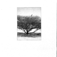 courrier cnrs 72_Page_124.jpg