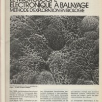 Le courrier du CNRS 24