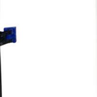 Cahiers pour l'histoire du CNRS 10