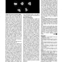 courrier cnrs 66-67-68_Page_017.jpg