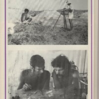 Le courrier du CNRS 11