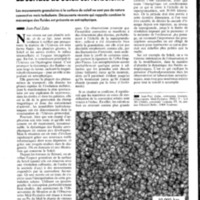 courrier cnrs 71_Page_036.jpg