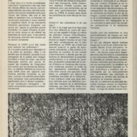 Le courrier du CNRS 23