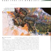 rapport 1988_012.jpg