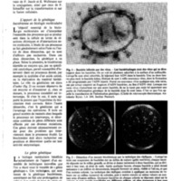 courrier cnrs 41_Page_14.jpg