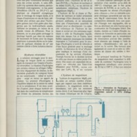 Le courrier du CNRS 31