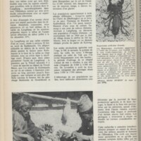 Le courrier du CNRS 2