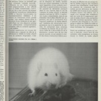 Le courrier du CNRS 28