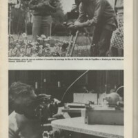 Le courrier du CNRS 31