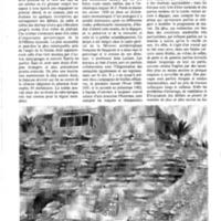 courrier cnrs 49_Page_35.jpg