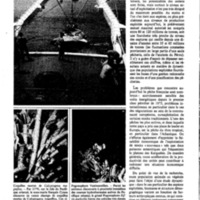 courrier cnrs 46_Page_11.jpg