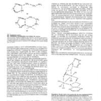 Rapport CNRS 1974-science_066.jpg