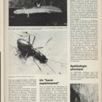 Le courrier du CNRS 4