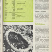 Le courrier du CNRS 10