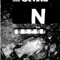 courrier cnrs 49_Page_01.jpg