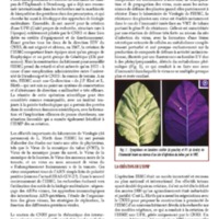 A3Magazine76Plantes_Page_62.jpg