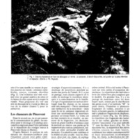 courrier cnrs 73_Page_15.jpg