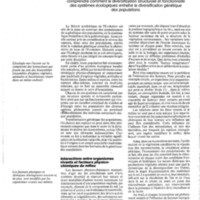courrier cnrs 59_Page_25.jpg